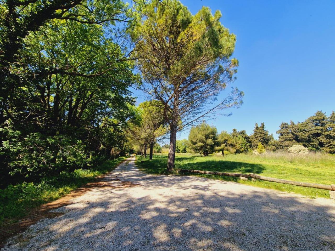 Ancien Mas Du Moulin Bed & Breakfast Eygalieres  Exterior photo